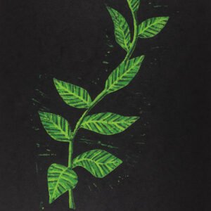 Leaves